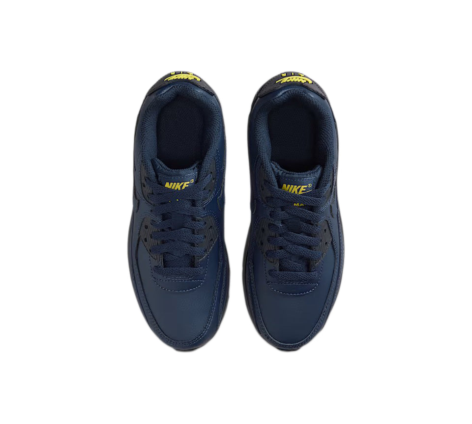 Nike Air Max 90 LTR (GS)