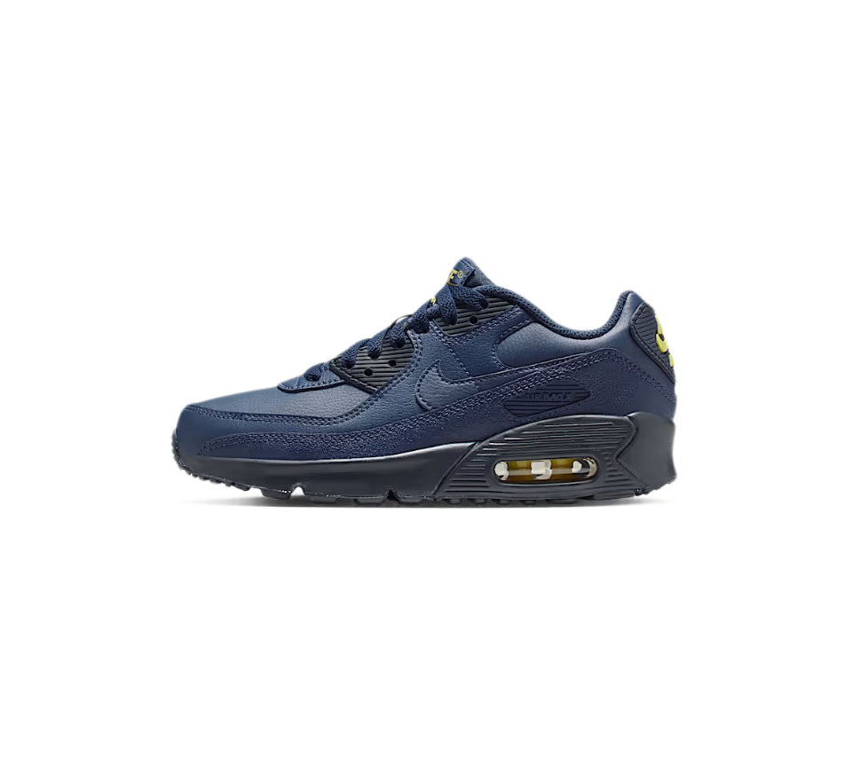 Nike Air Max 90 LTR (GS)