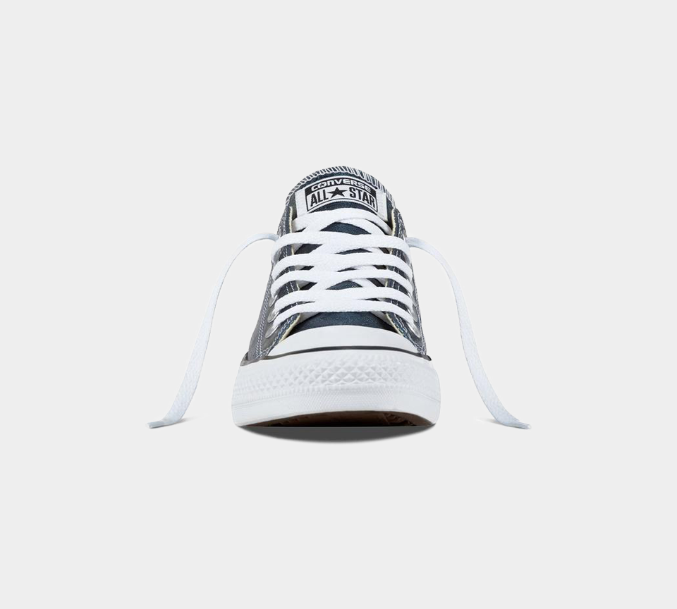 Converse Chuck Taylor All Star Metallic Canvas Shoes