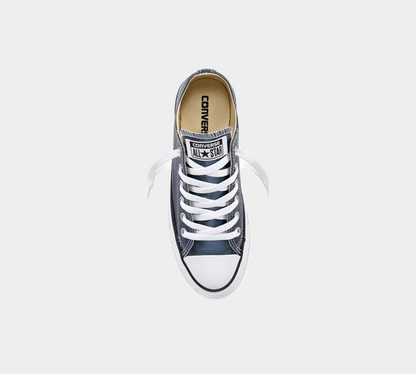 Converse Chuck Taylor All Star Metallic Canvas Shoes