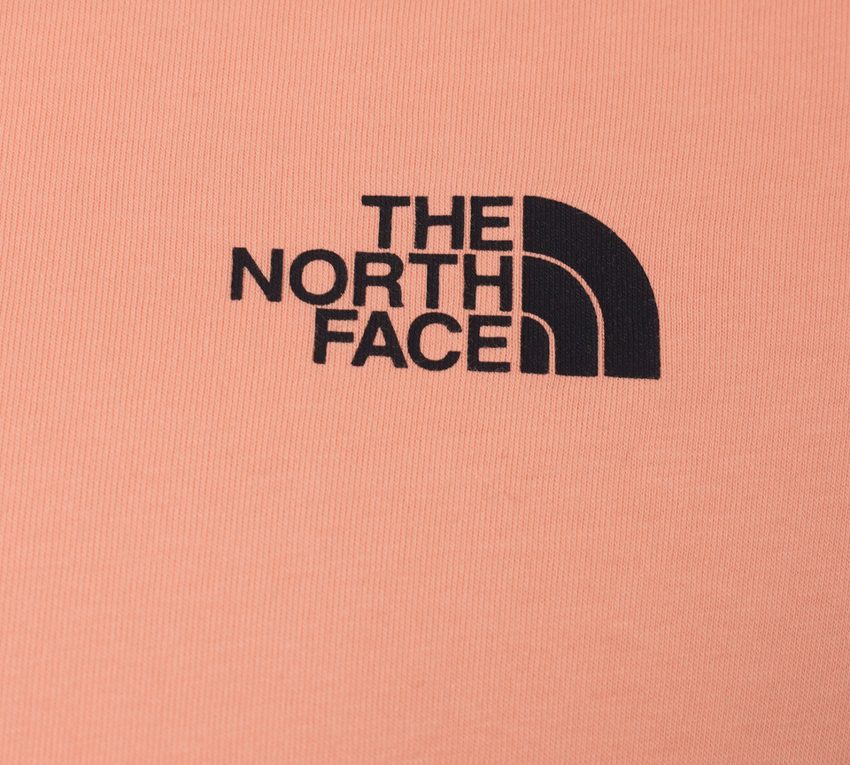 The North Face Back Box Logo Tee