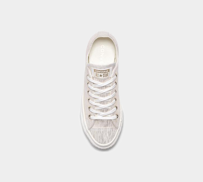Converse Chuck Taylor All Star Precious Metal Suede Low Top Shoes